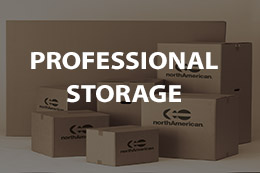 Professional Storage